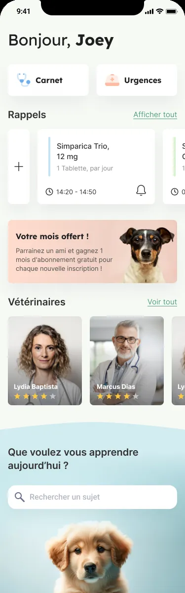 Blog animaux. Content hub supporting engagement and discovery
